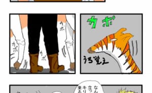 Thumbnail of related posts 076