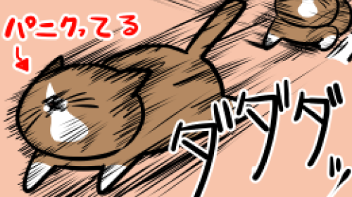 Thumbnail of post image 055