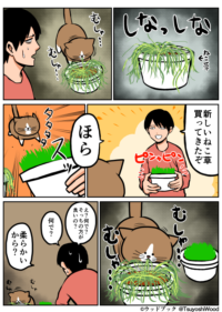 Thumbnail of post image 073