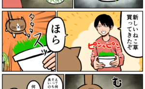 Thumbnail of related posts 050