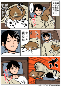 Thumbnail of post image 078