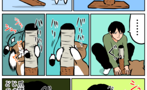 Thumbnail of related posts 090