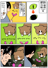 Thumbnail of post image 170