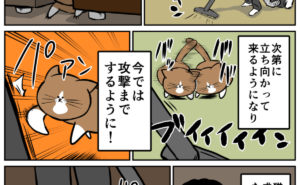 Thumbnail of related posts 156