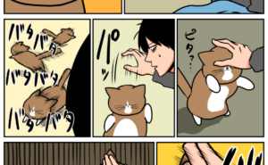 Thumbnail of related posts 039