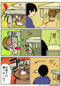 Thumbnail of post image 069