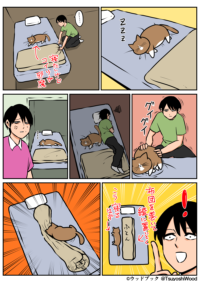 Thumbnail of post image 019