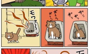 Thumbnail of related posts 079