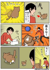 Thumbnail of post image 122