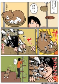Thumbnail of post image 084