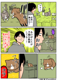 Thumbnail of post image 006