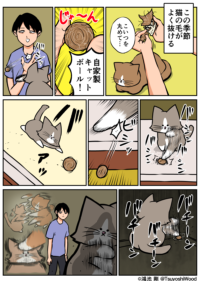 Thumbnail of post image 200