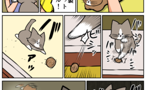 Thumbnail of related posts 146