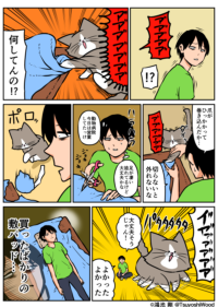 Thumbnail of post image 174
