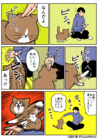 Thumbnail of post image 139
