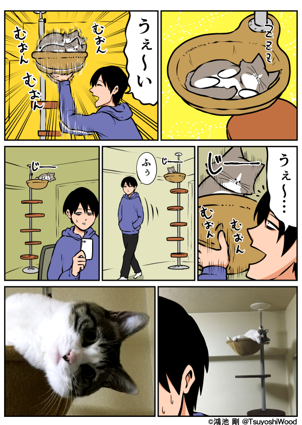 Thumbnail of post image 144