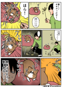 Thumbnail of post image 145