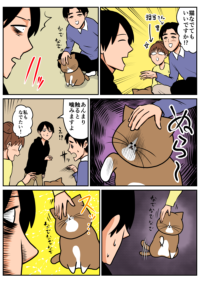 Thumbnail of post image 162