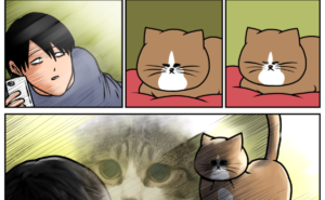 Thumbnail of related posts 044