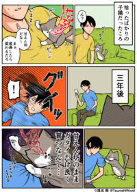 Thumbnail of post image 142