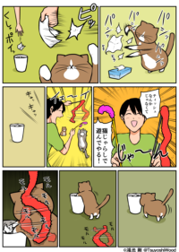 Thumbnail of post image 071