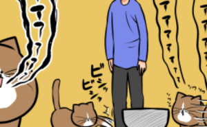 Thumbnail of related posts 152
