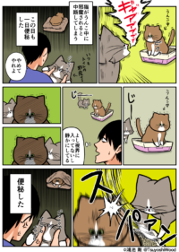 Thumbnail of post image 029