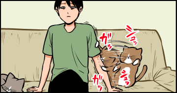 Thumbnail of post image 110