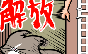 Thumbnail of related posts 116