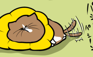 Thumbnail of related posts 077