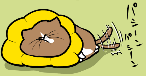Thumbnail of post image 012