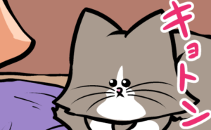 Thumbnail of related posts 114