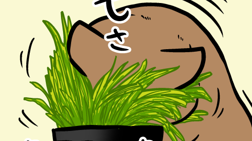 Thumbnail of post image 154