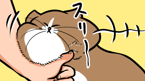 Thumbnail of post image 076