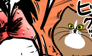 Thumbnail of related posts 063