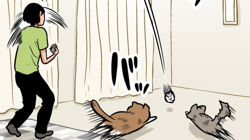 Thumbnail of post image 049
