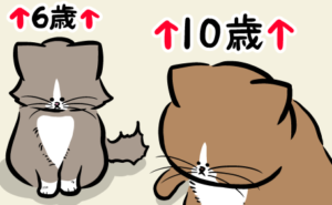 Thumbnail of related posts 020