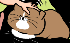 Thumbnail of related posts 006