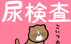 Thumbnail of related posts 003
