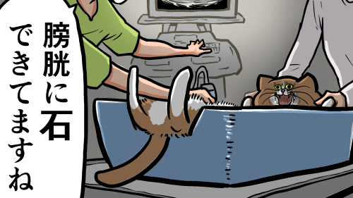Thumbnail of post image 060