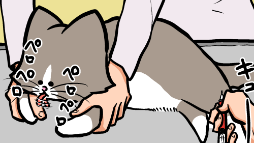 Thumbnail of post image 060