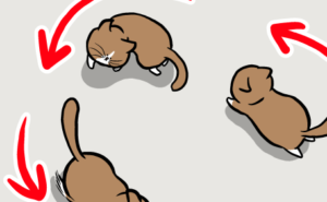 Thumbnail of related posts 034