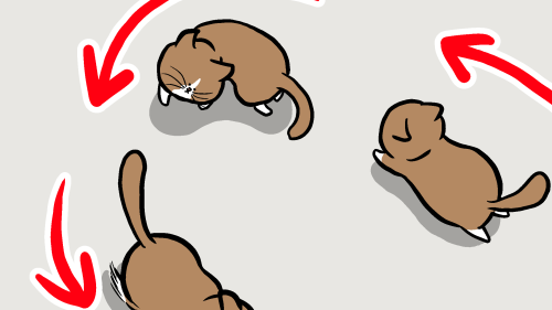 Thumbnail of post image 002