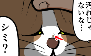 Thumbnail of related posts 179