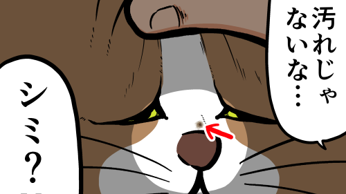 Thumbnail of post image 105