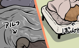 Thumbnail of related posts 133