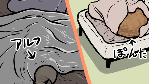 Thumbnail of post image 026