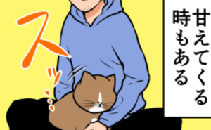 Thumbnail of related posts 146
