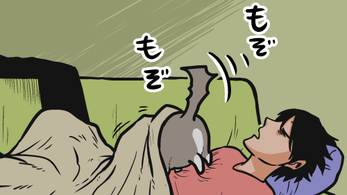 Thumbnail of post image 026