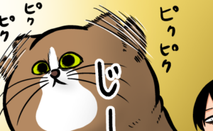 Thumbnail of related posts 137